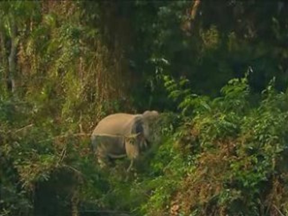 Plus de vie pour la terre