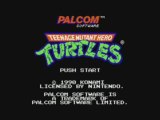 Test Teenage Mutant Hero Turtles NES