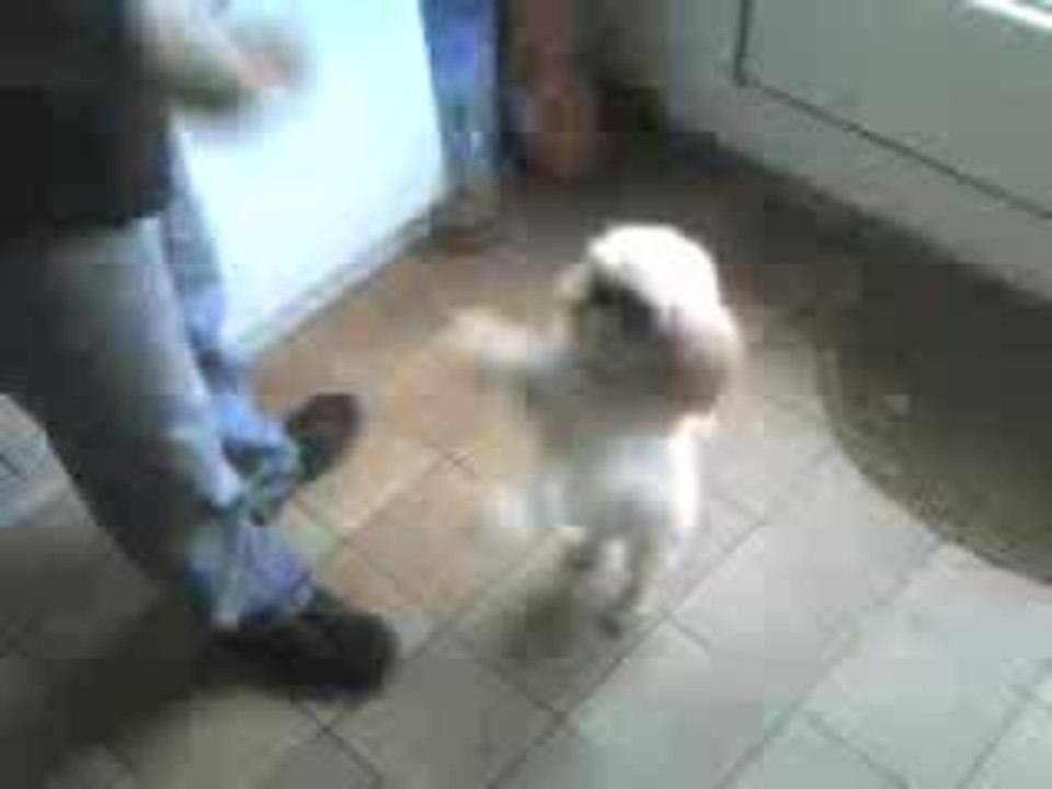 sully