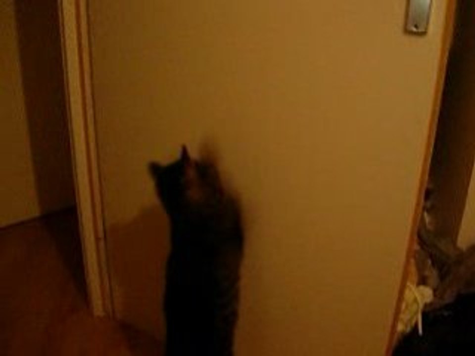 Nounouche Killer ! lol