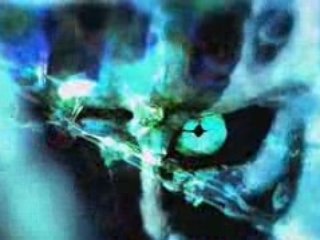 Street Fighter IV Seth vs. M. Bison Trailer