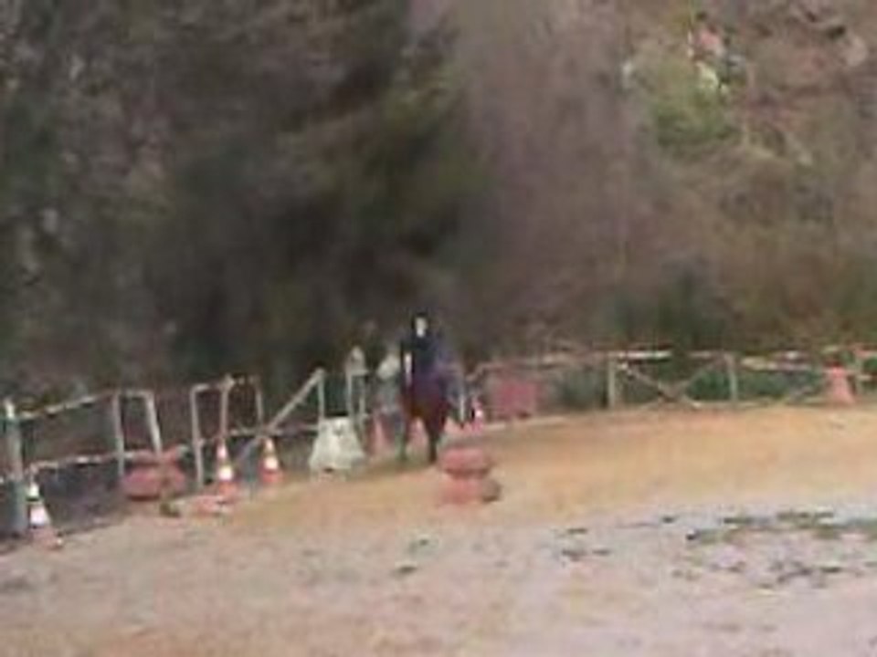 Rumba et moi au trot-galop