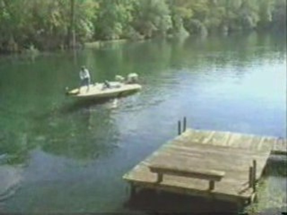 Video BLACK BASS