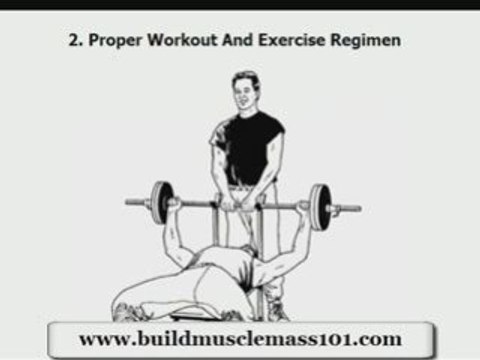 Why Skinny Guys Fail At Gaining Weight