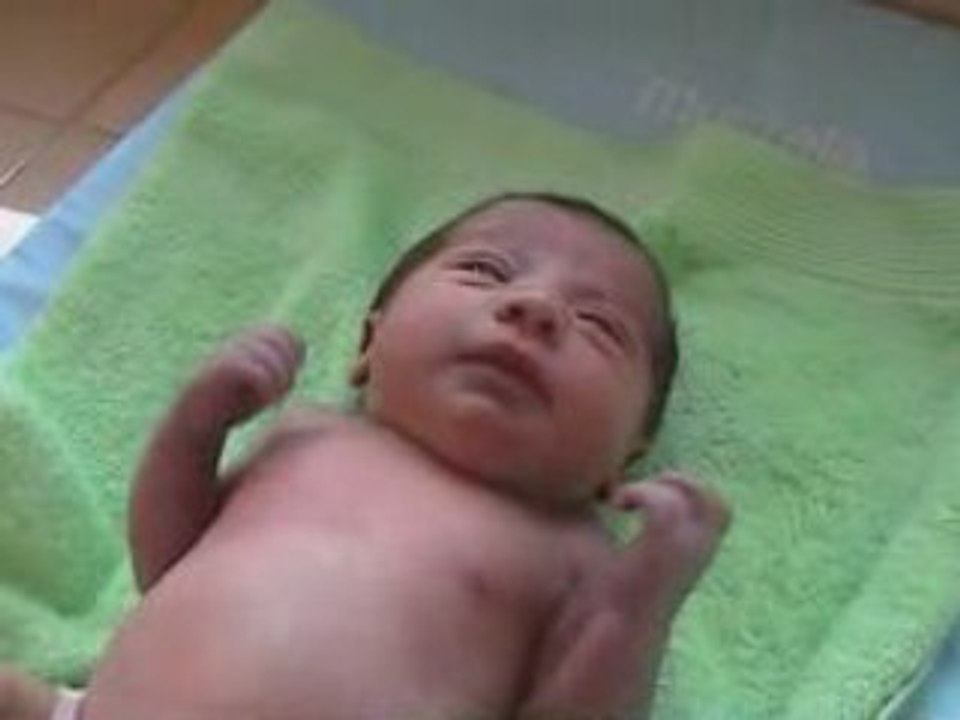 Lilly 0002