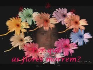 Lover Why - Porquê Amor