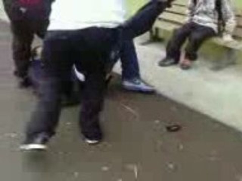 Globule niike bambou