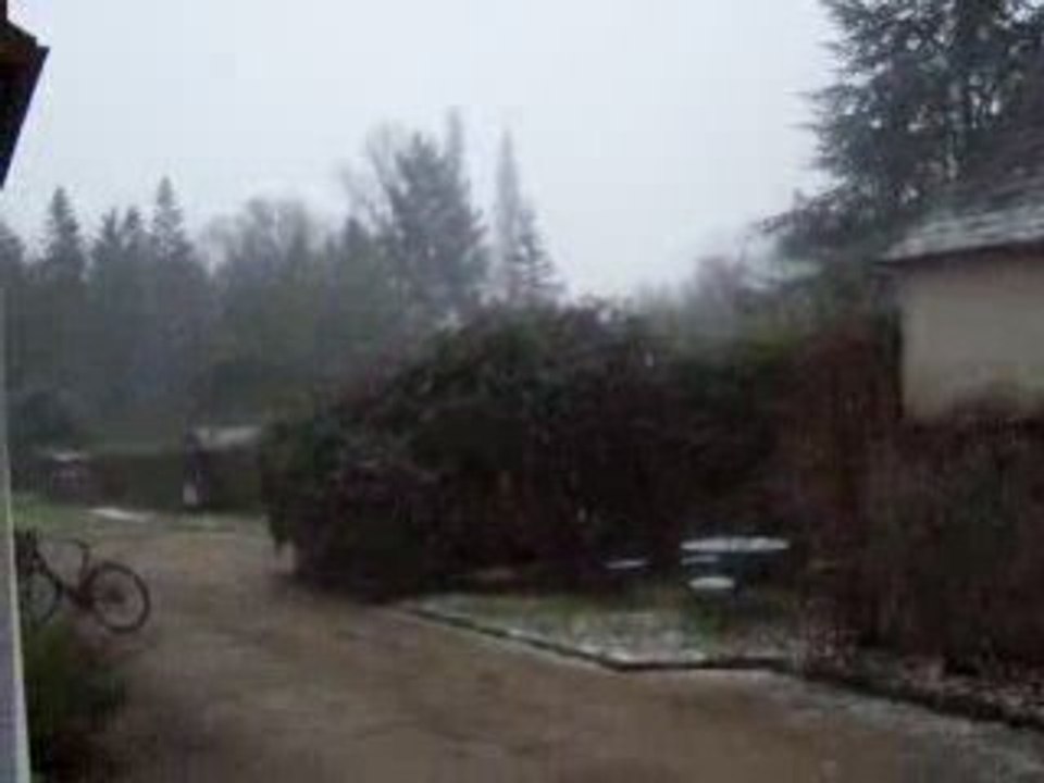 Neige. 7 Février 2009