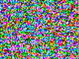 Galapagos travel Tourists