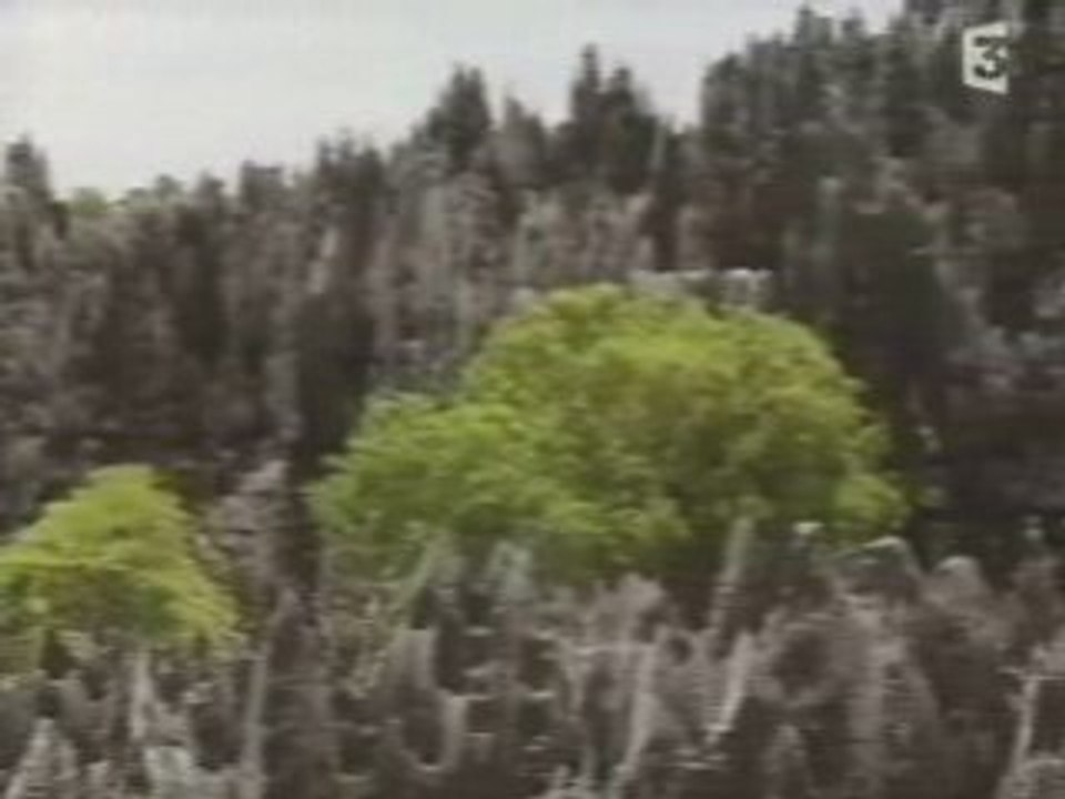 Madagascar, les mystères de l'île rouge (2006)6/6