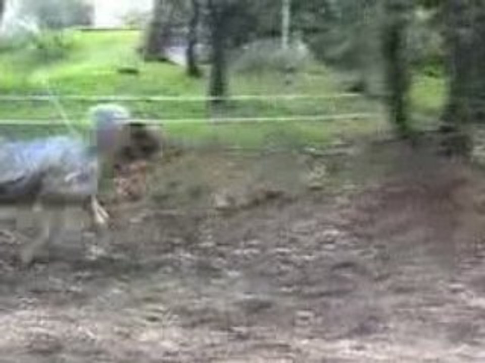 20090207114058