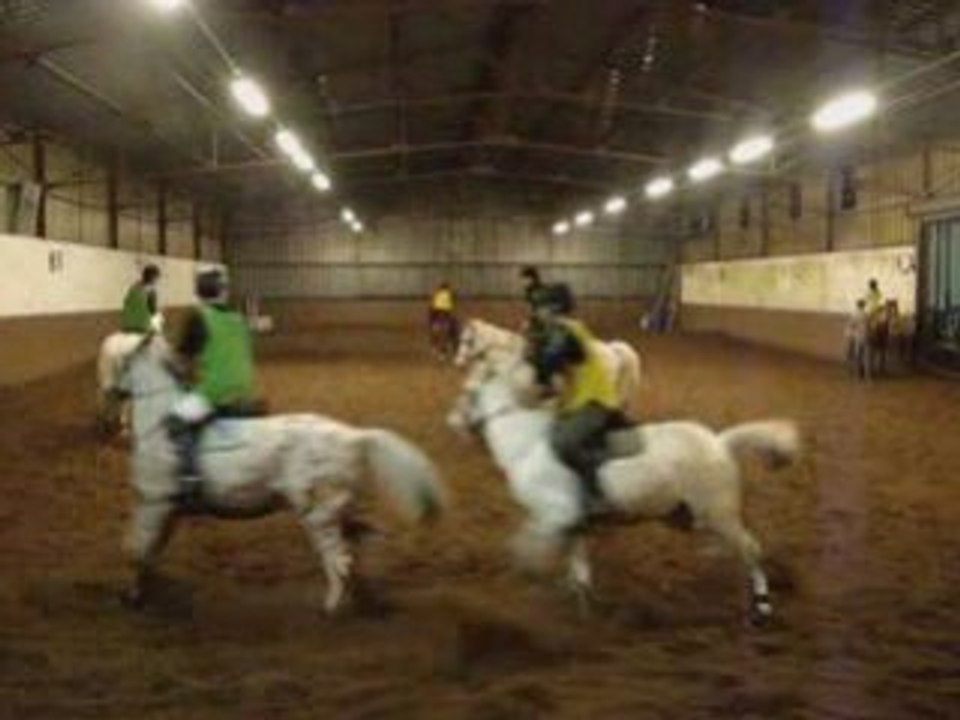 Entrainement du 28 novembre 2008