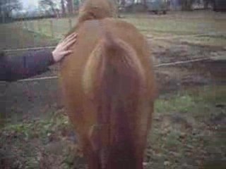 Pferdchen lauf nicht weg BITTE!!