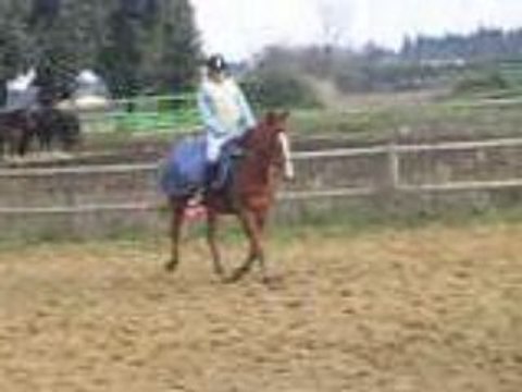 Moi&opti trot assis