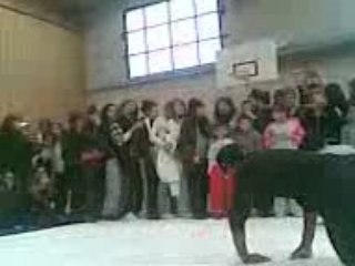 Finale Battle de St Priest