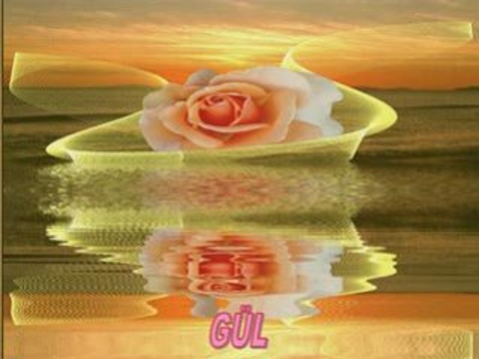 Gül