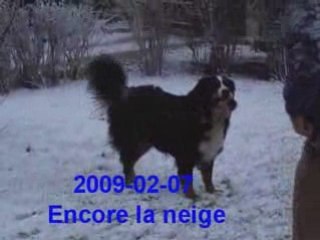 2009-02-07 Encore de la neige
