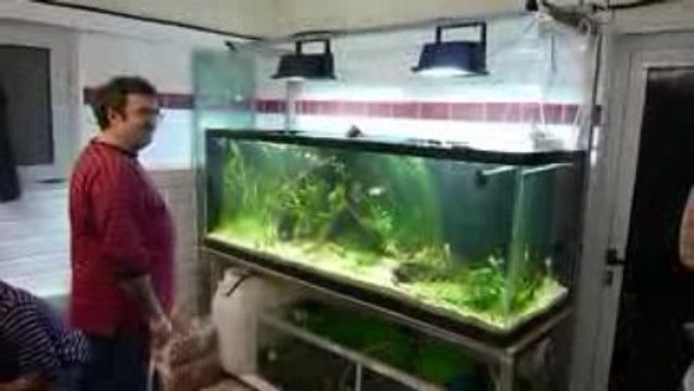 Aqua planté Villeneuve lez Beziers 07/02/09