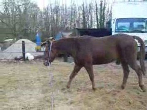 rotary - séance longe 07.02.09