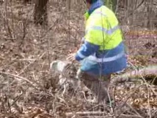 Courte séquence du travail de Alto.