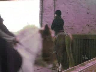 double poney ecurie des bordeaux