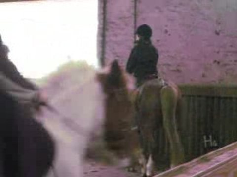 double poney ecurie des bordeaux