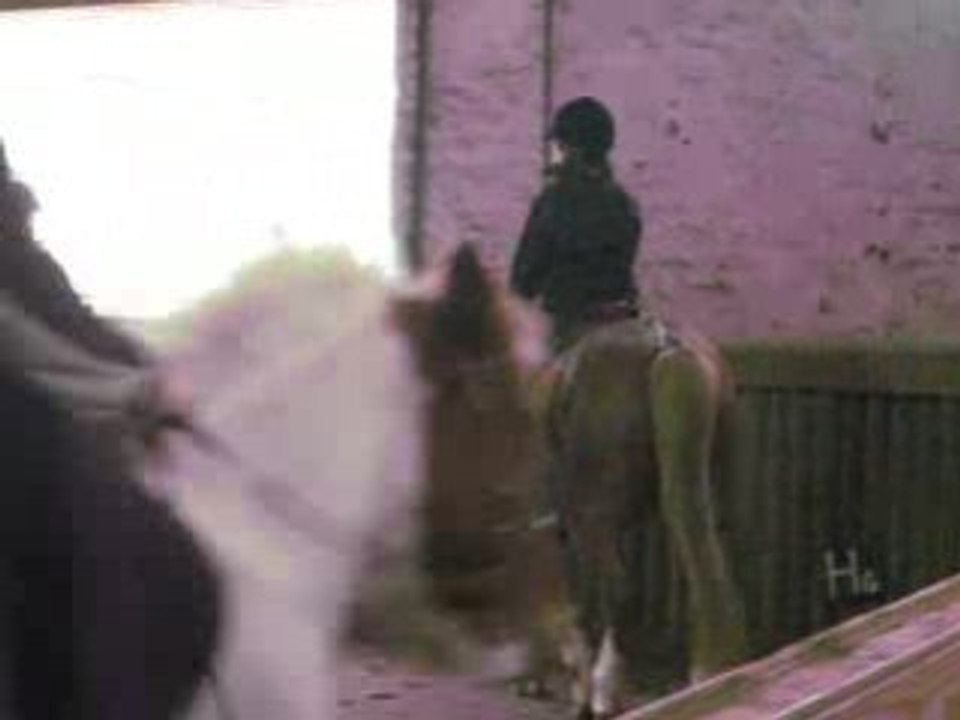 double poney ecurie des bordeaux