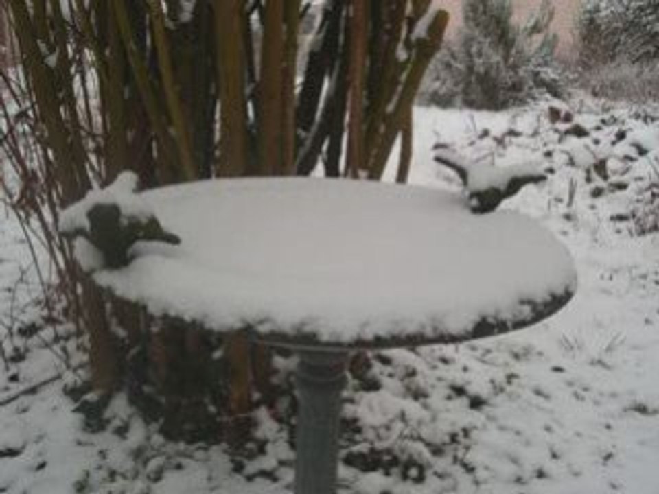 Let it snow