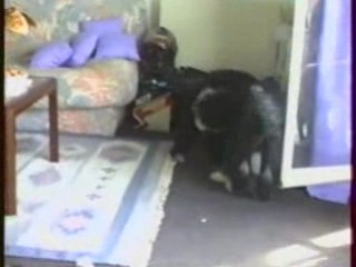 1997 Naia: The 1997 Discovery of an Ancient Human Skeleton