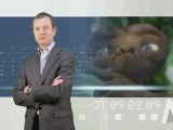 Jt News Assurances - Semaine du 09 Février 2009
