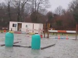 Concour 25 janvier joyau