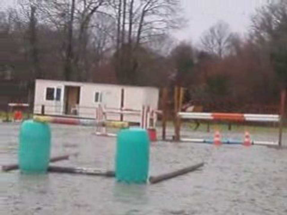 Concour 25 janvier joyau