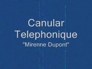 Canular téléphonique : Madame Mirenne Dupont