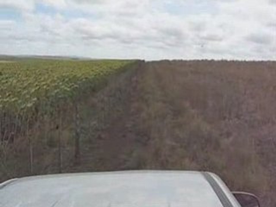 Bornes In la Pampa