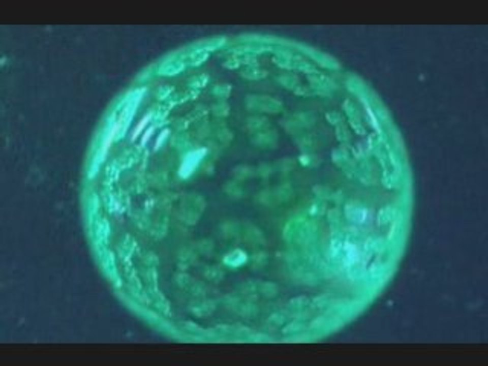 Les mille vertus de l'eau de mer : le plasma de Quinton