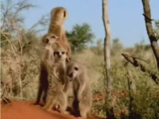 Le lundi matin au boulot "modifié"