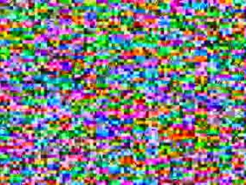 7 Animals Nature Galapagos Islands