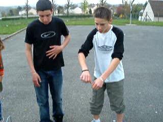 Math & Steeve's Penguin Dance Demo 🐧