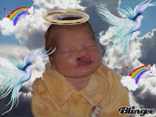 Brady, un ange dans le ciel 😇