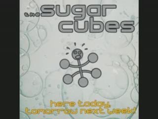 bjork sugarcubes