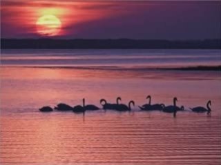 MON PROCHAIN VOTE SERA BLANC....