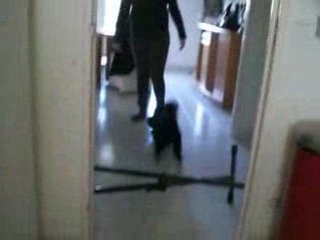 diesel saute le o6/o2/2oo9