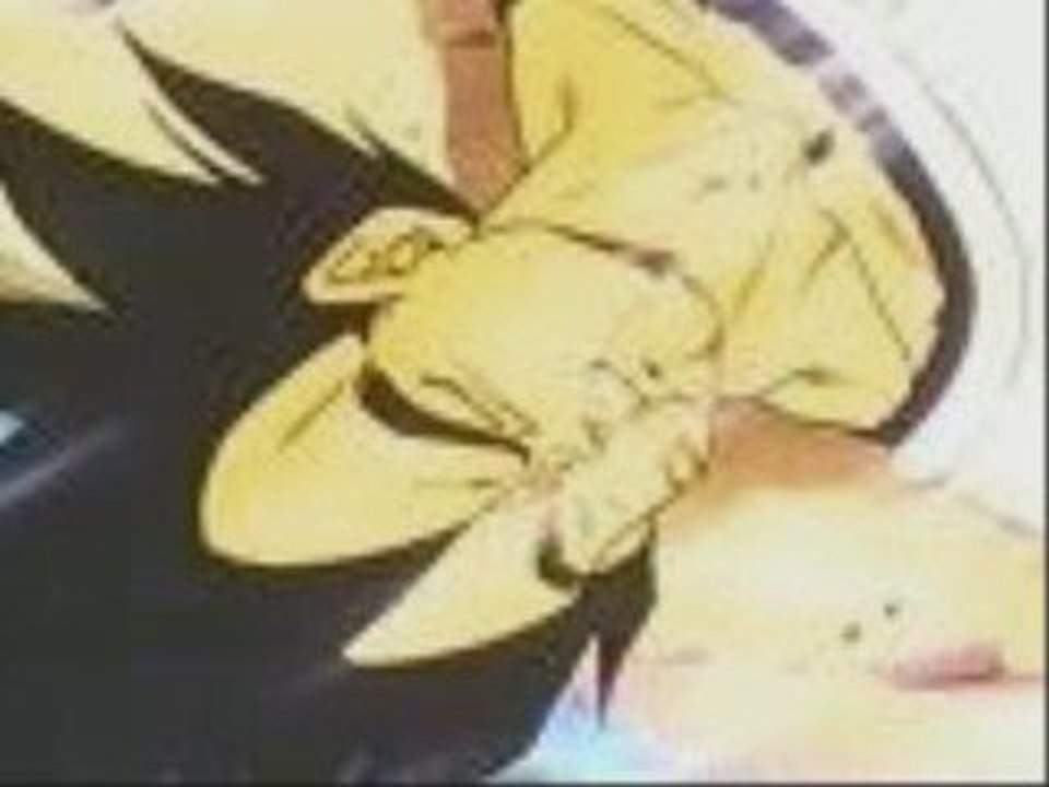 L'histoire de Vegeta en Image