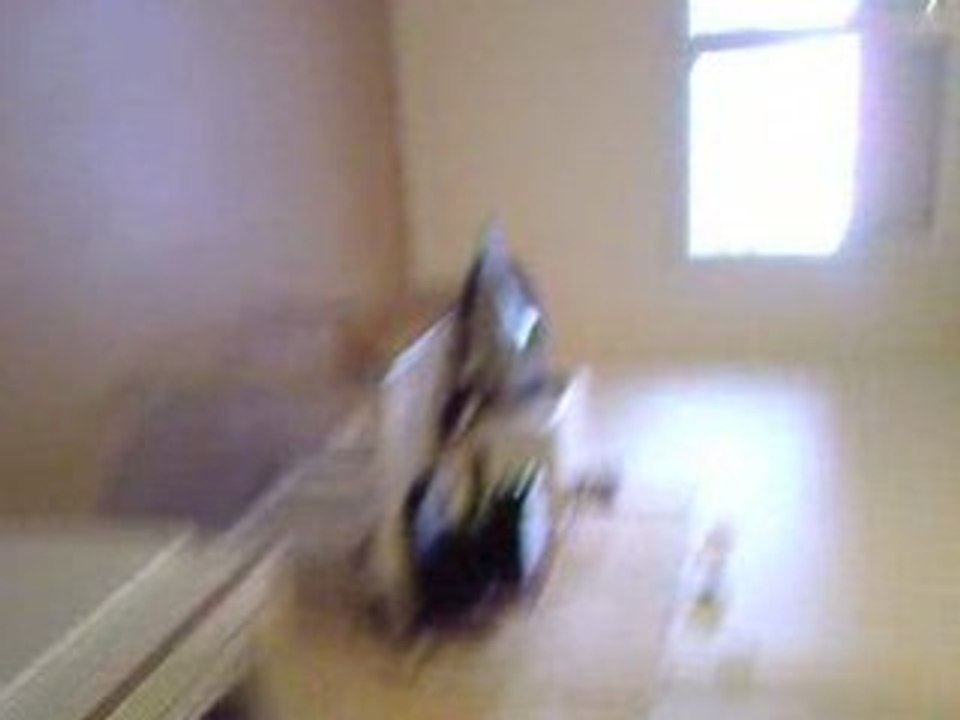 Appt rillieux