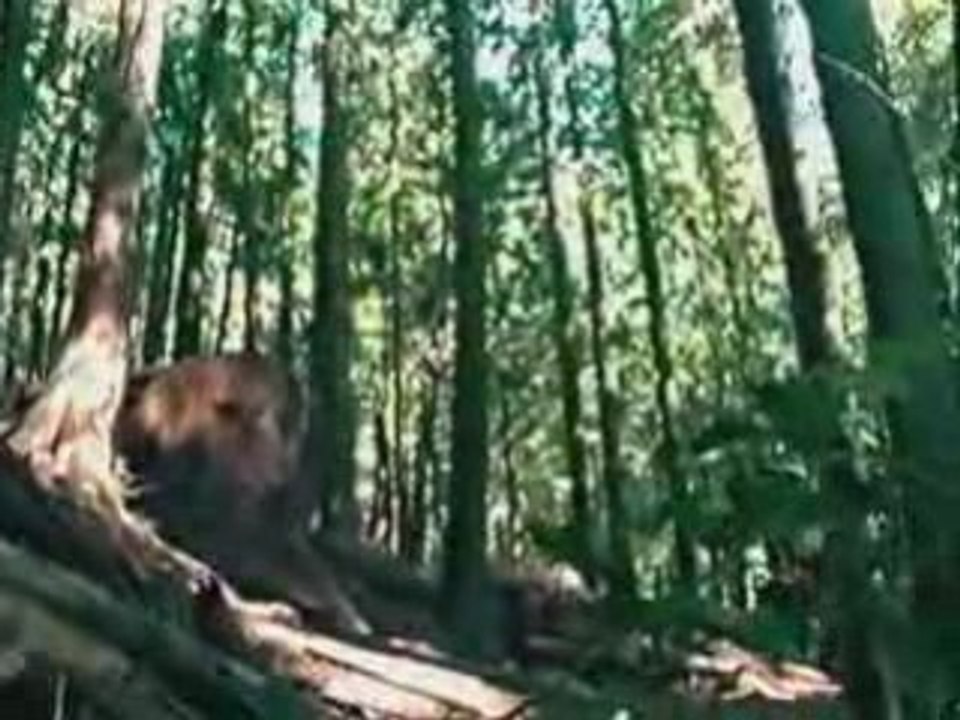 [MTB] Unicycle Legend - Kris Holm Freeride video [Goodspeed]