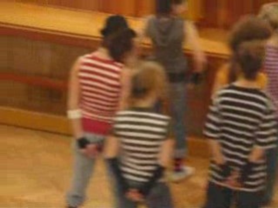 Vystoupeni-radostin-delfin