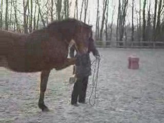 Impec ethologie février 2009