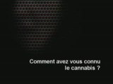 LE CANNABIS témoignages