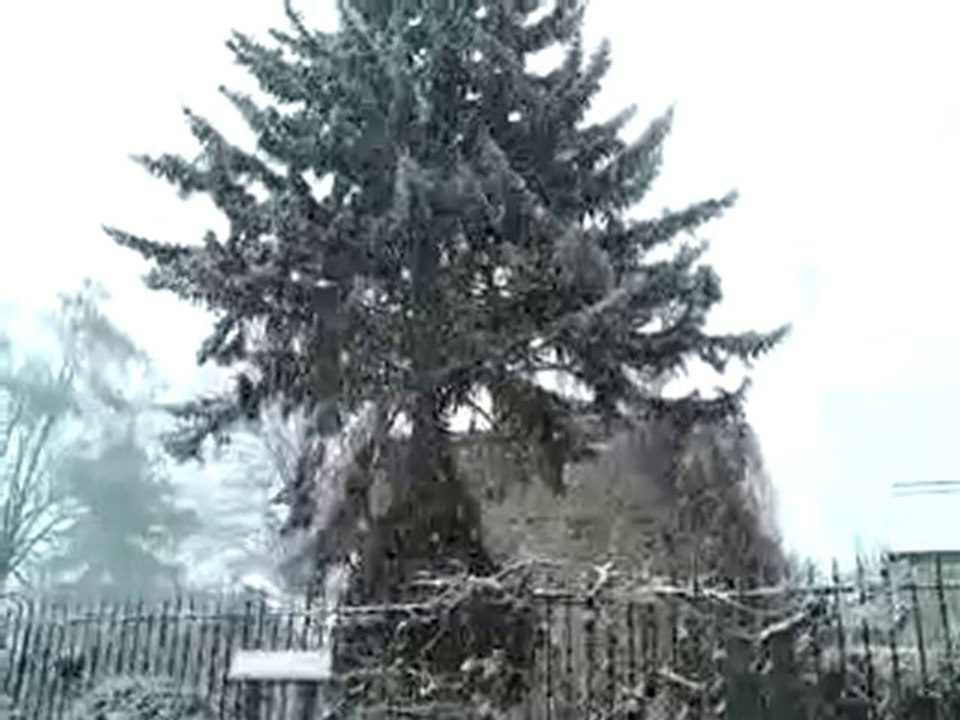 SOUS LA NEIGE JOUARRE FEVRIER 2009