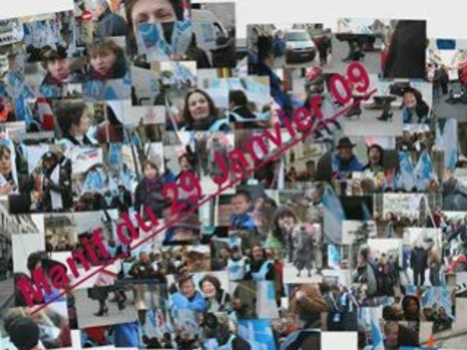 Mobilisation du 29 janvier 2009 à Dijon